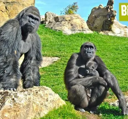 Apartman Bioparc Metro Valencia