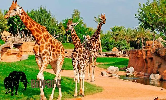Bioparc Metro Valencia