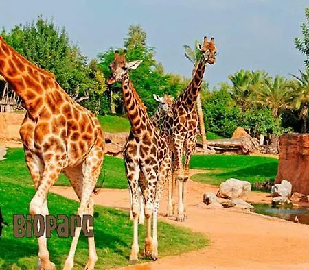 Bioparc Metro 瓦伦西亚